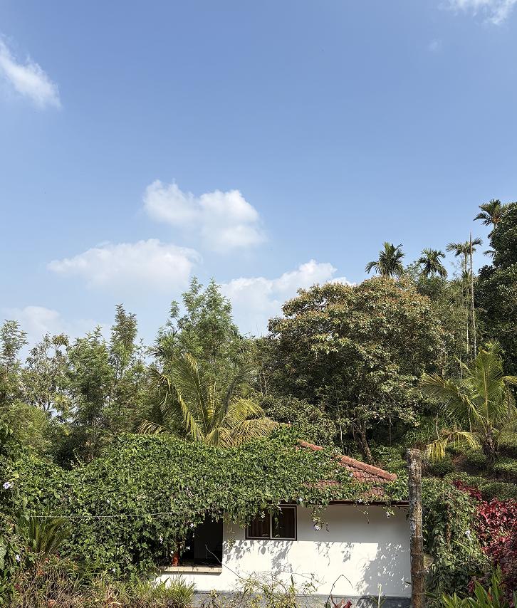 Misty Haven building